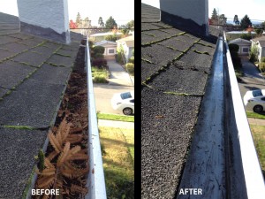 kc gutter cleaning